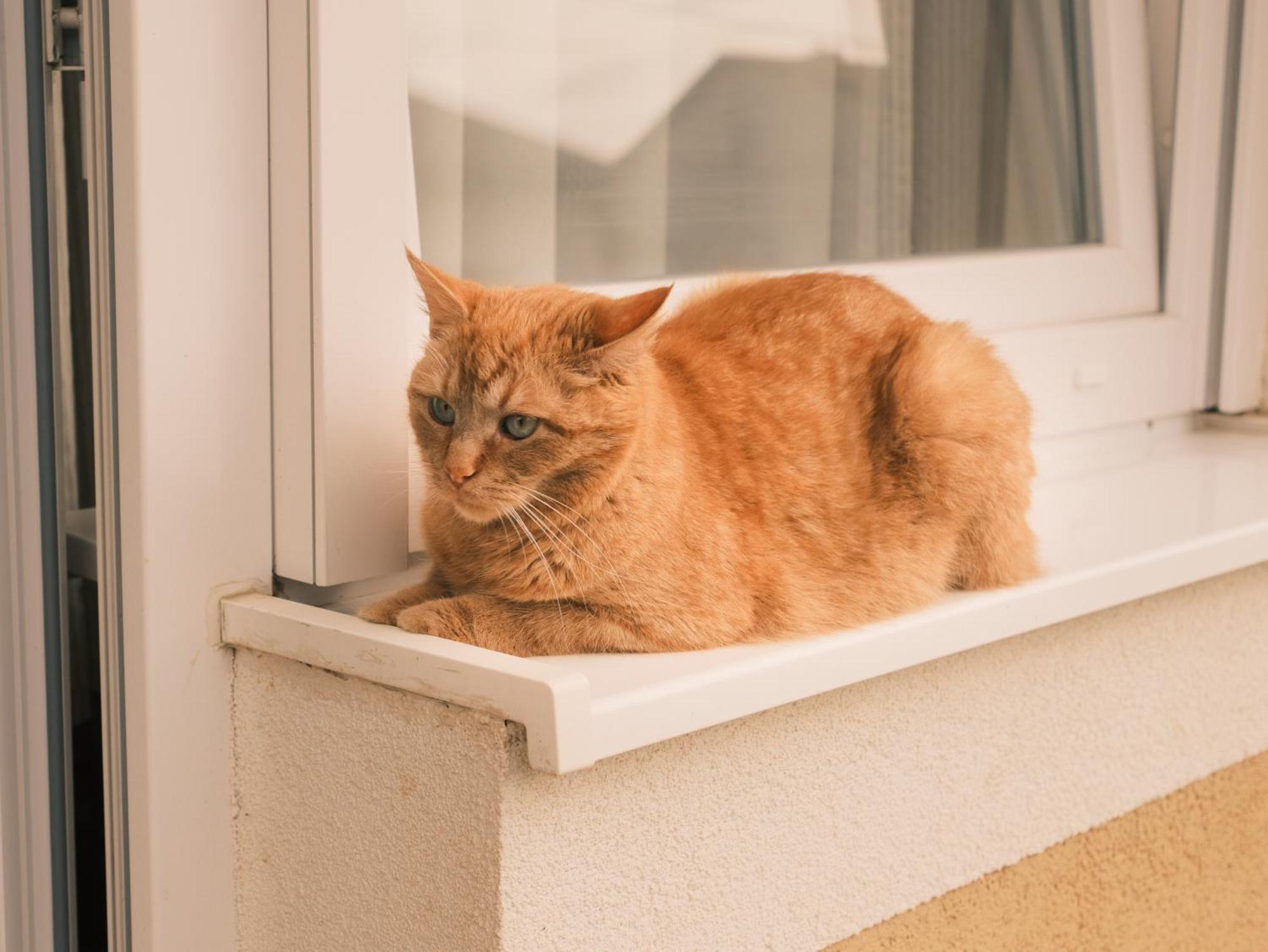 Apartmani Venium Križevci Buitenkant foto